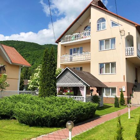 У Оксани Hotel Solociîn Exterior foto