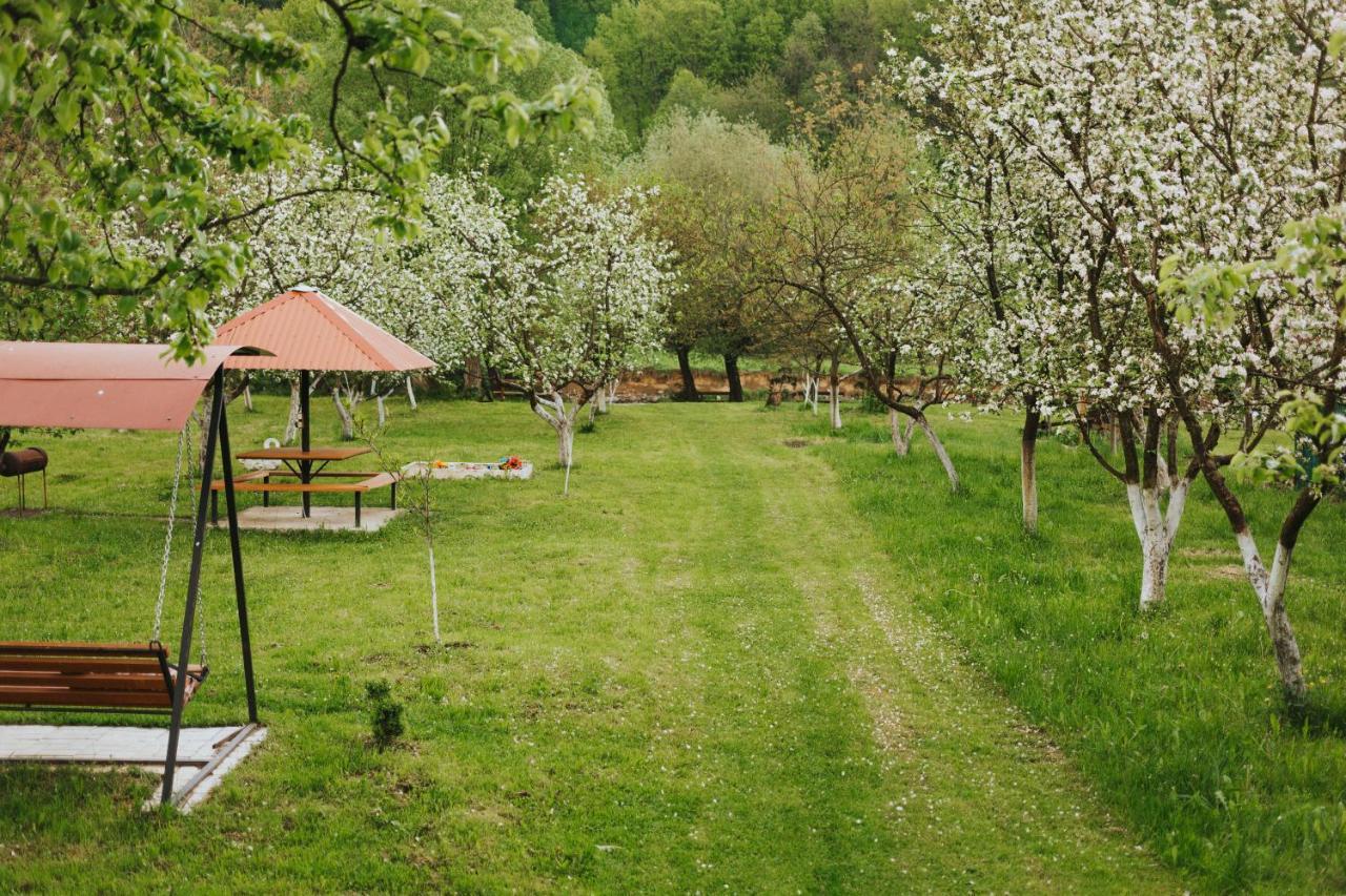 У Оксани Hotel Solociîn Exterior foto