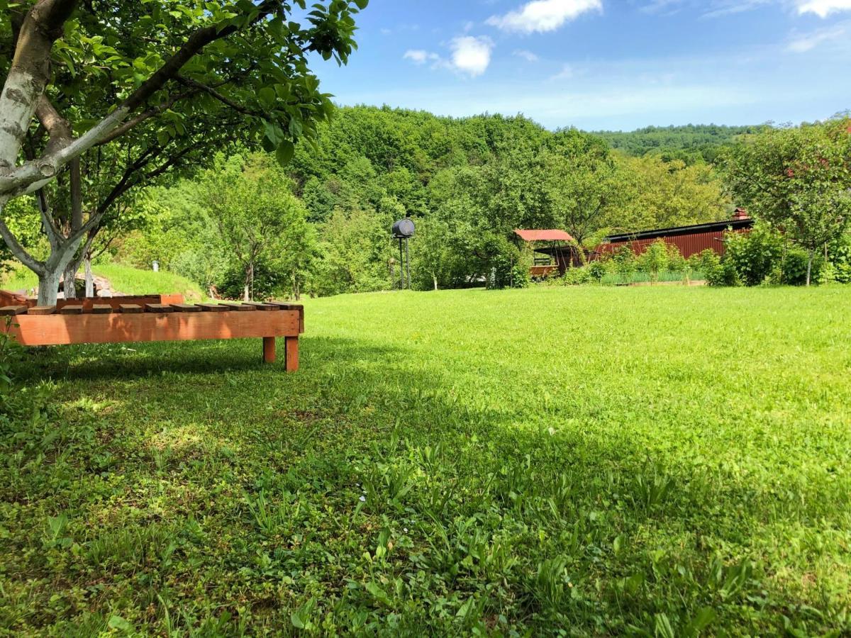 У Оксани Hotel Solociîn Exterior foto