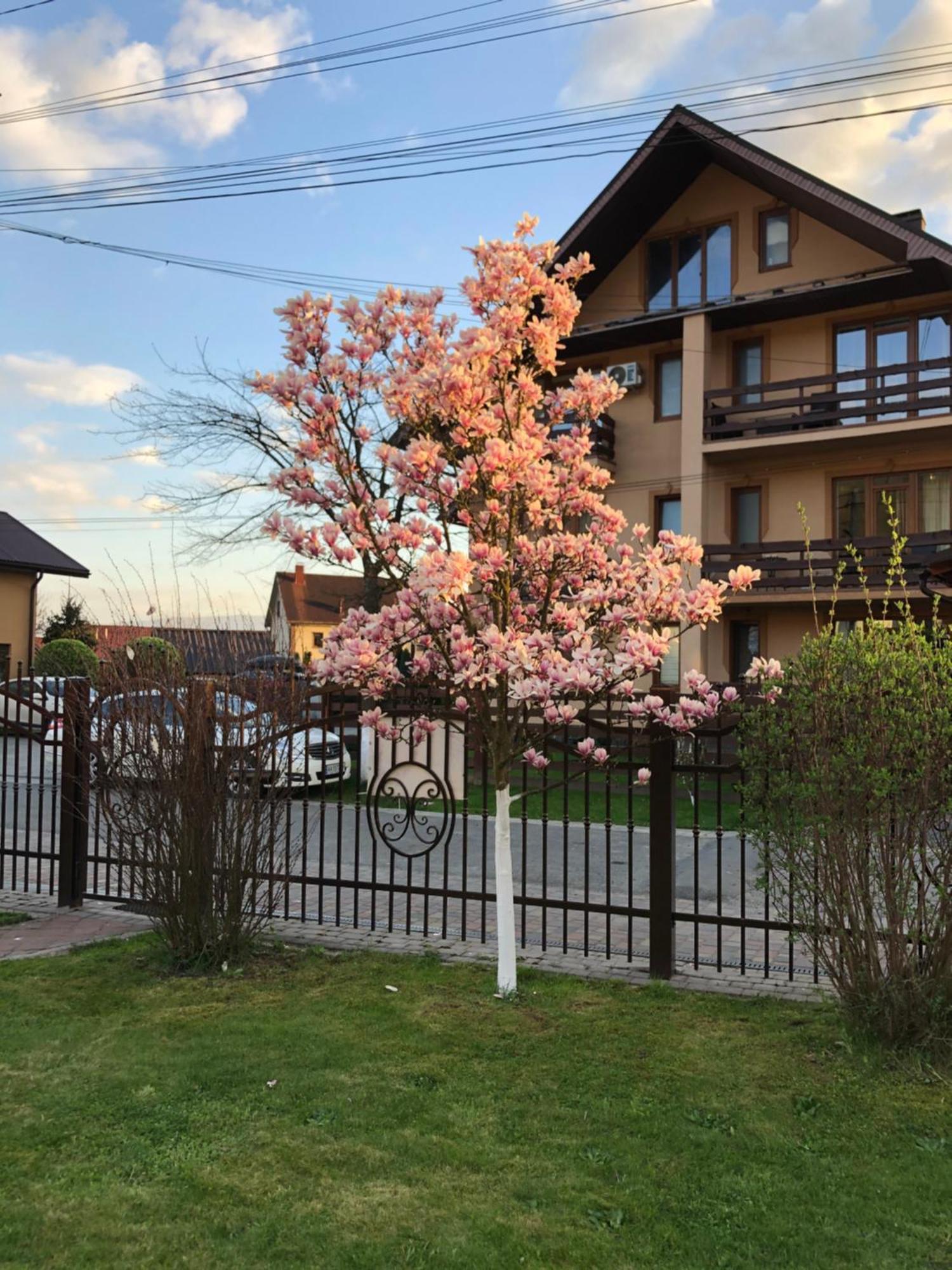 У Оксани Hotel Solociîn Exterior foto