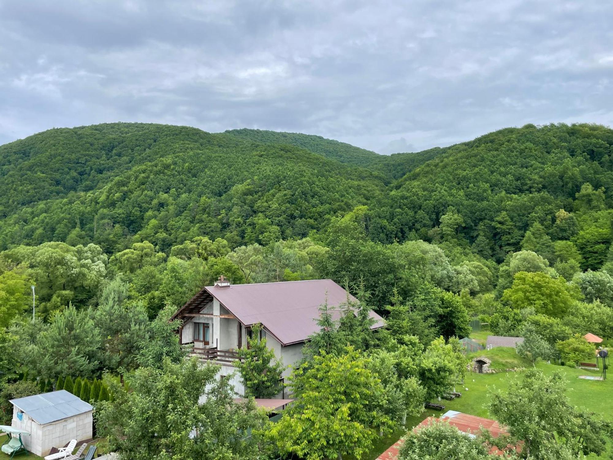 У Оксани Hotel Solociîn Exterior foto